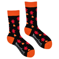 Feathers McGraw Socks - Wallace and Gromit