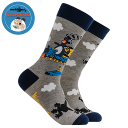 Feather's Train Socks - Wallace and Gromit