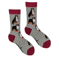 Bernese Mountain Dog Socks - Feel The Bern