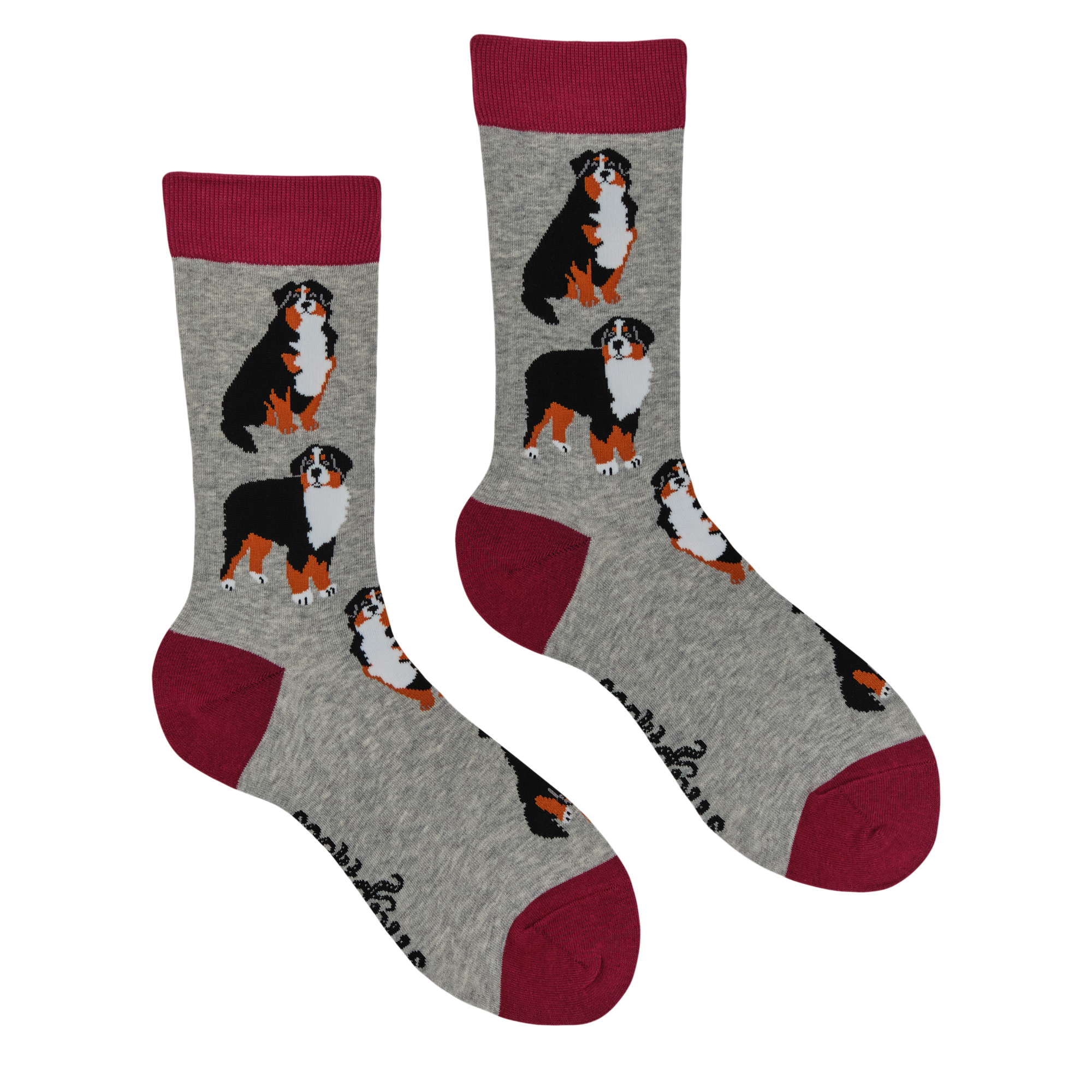 Bernese Mountain Dog Socks - Feel The Bern