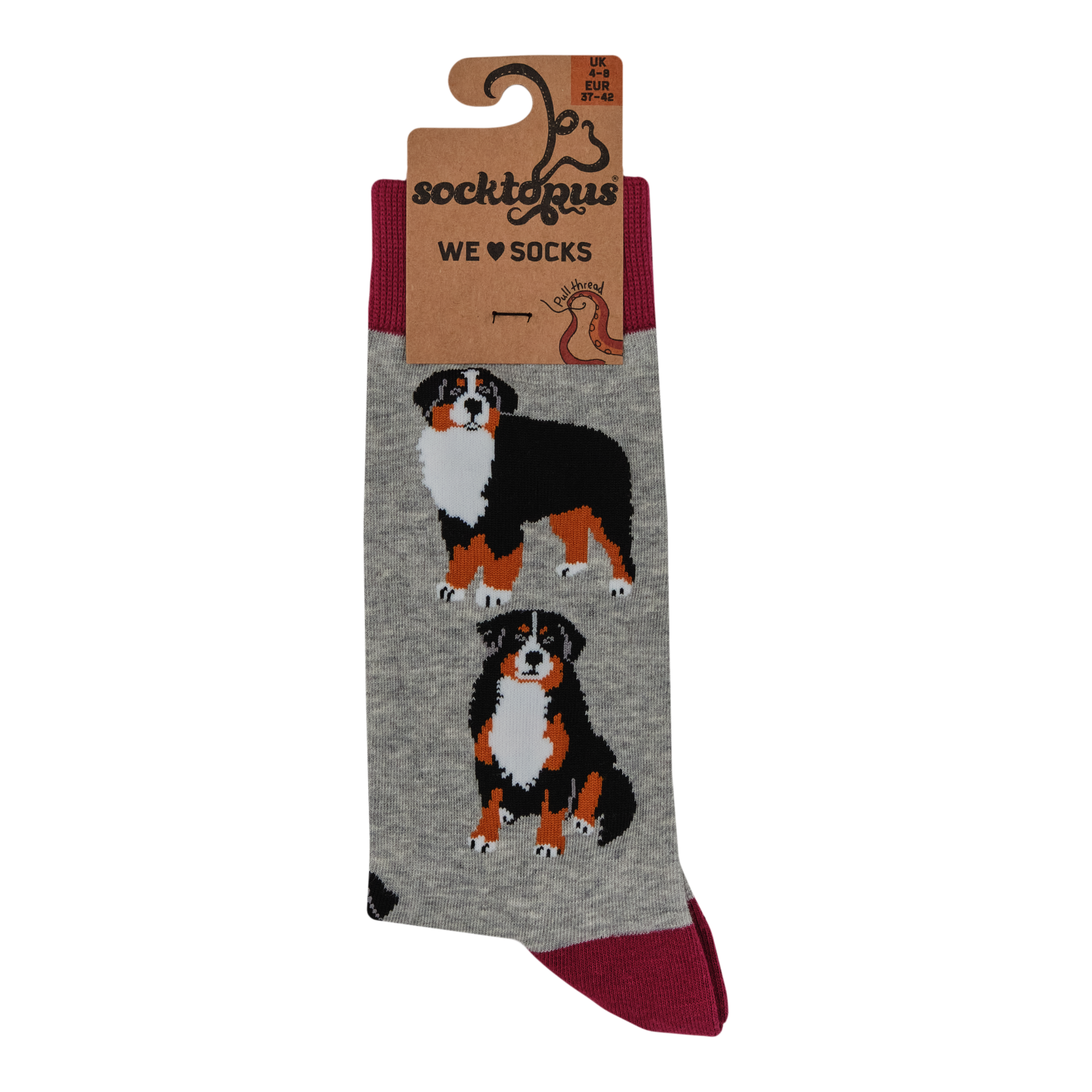 Bernese Mountain Dog Socks - Feel The Bern