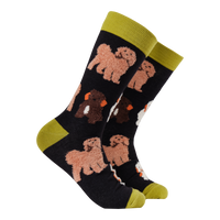 Fluffy Cockapoo Socks