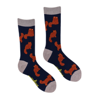 Fluffy Ginger Cats Socks