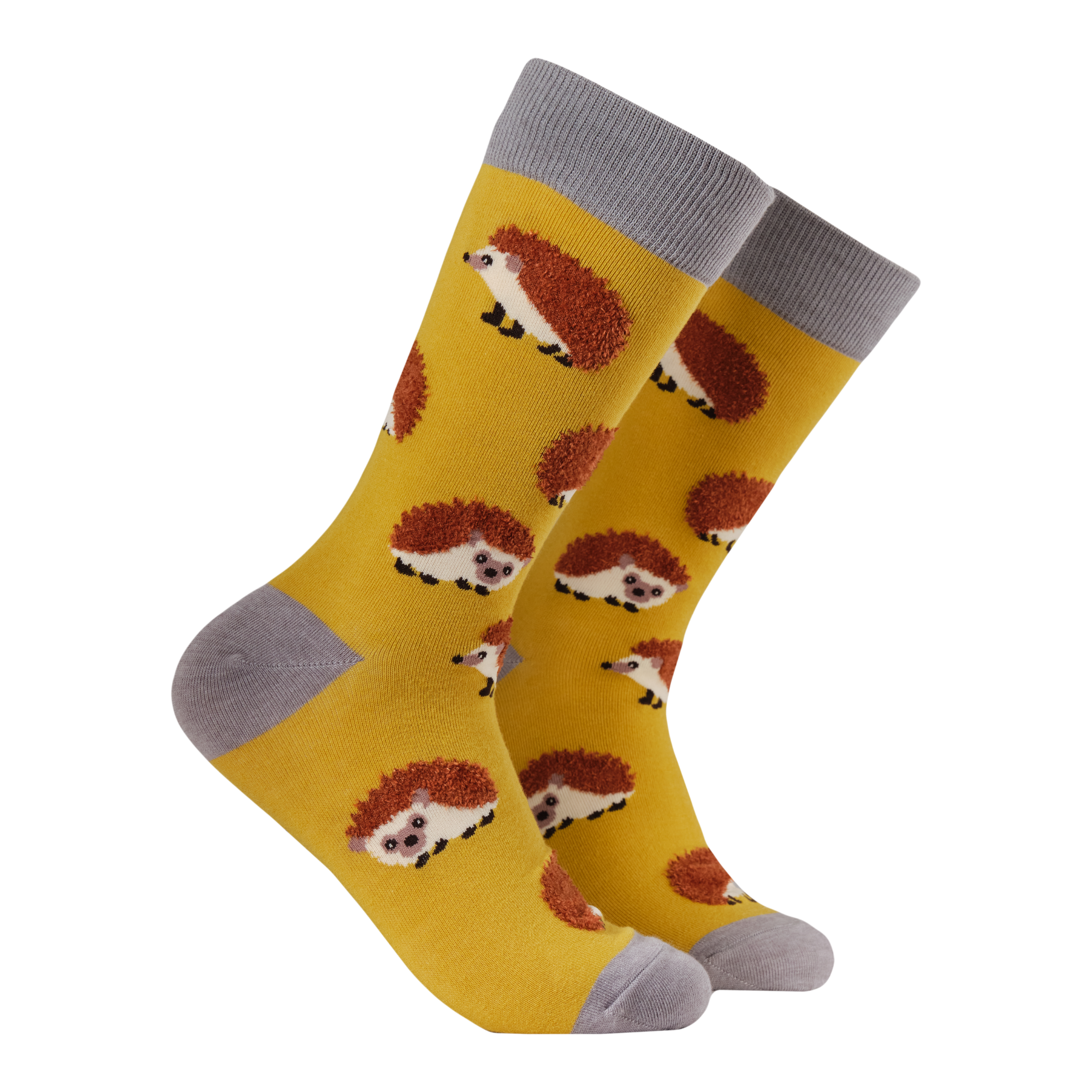 Fluffy Hedgehogs Socks