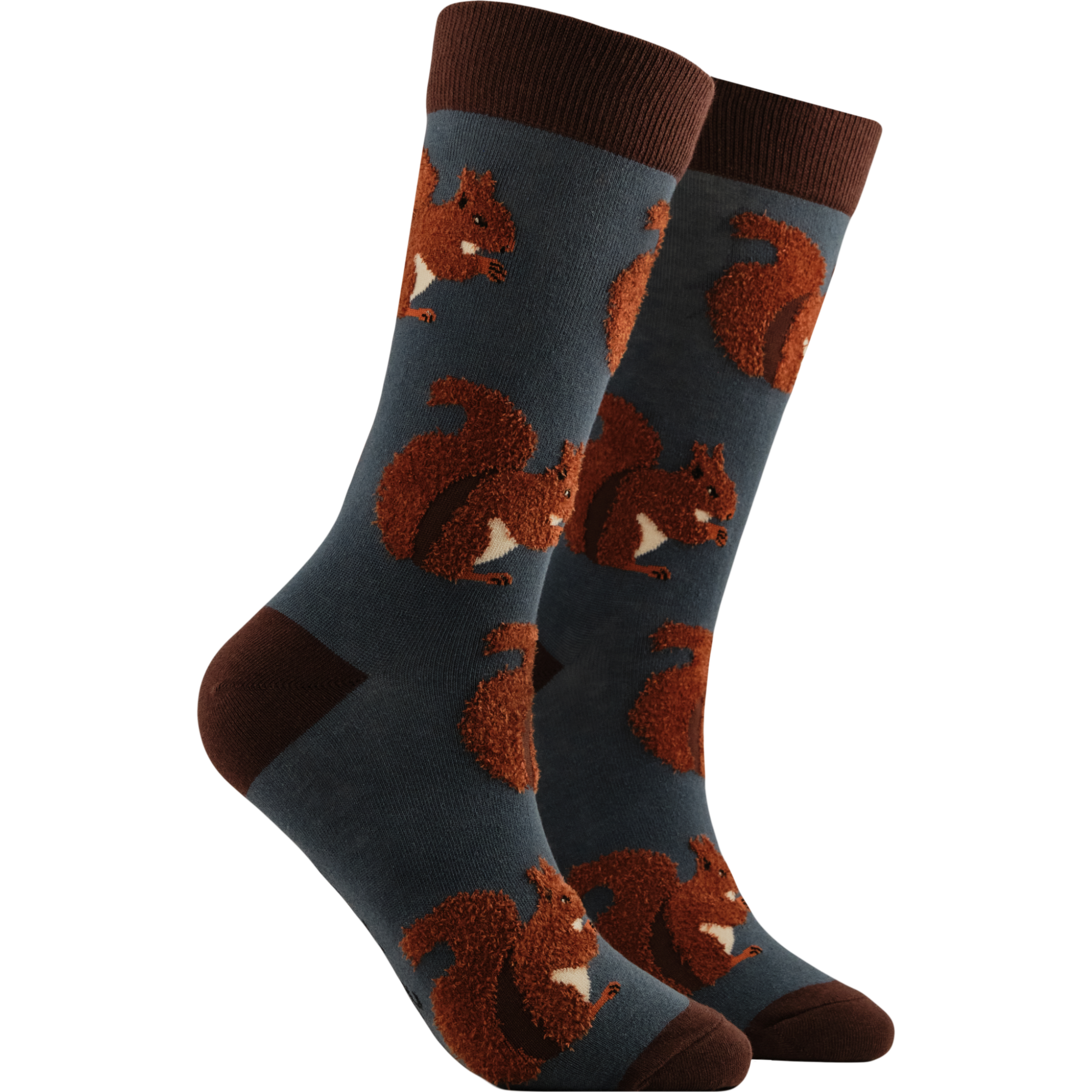 Fluffy Squirrel Socks