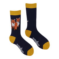 Fox Cubs Socks - Robert E Fuller