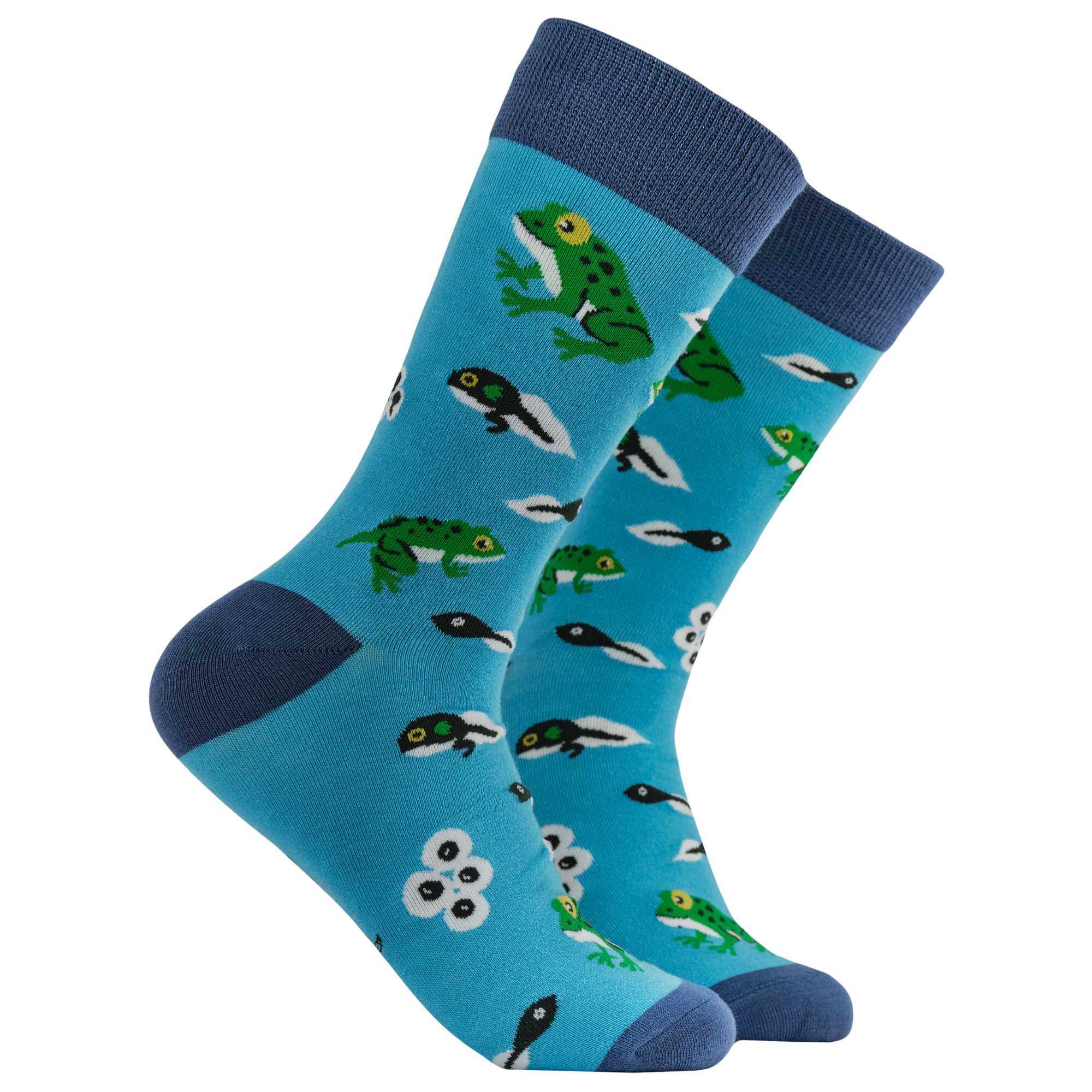 Frog Lifecycle Bamboo Socks - FROGTOPUS