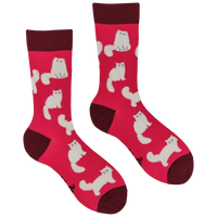 Fluffy White Cats Socks