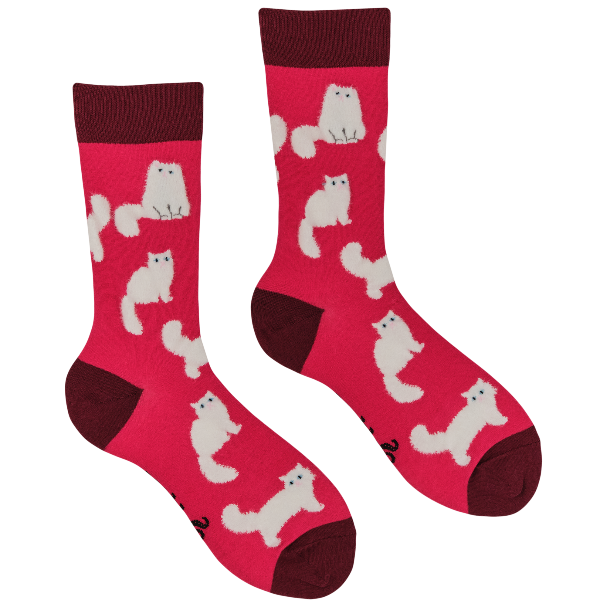 Fluffy White Cats Socks