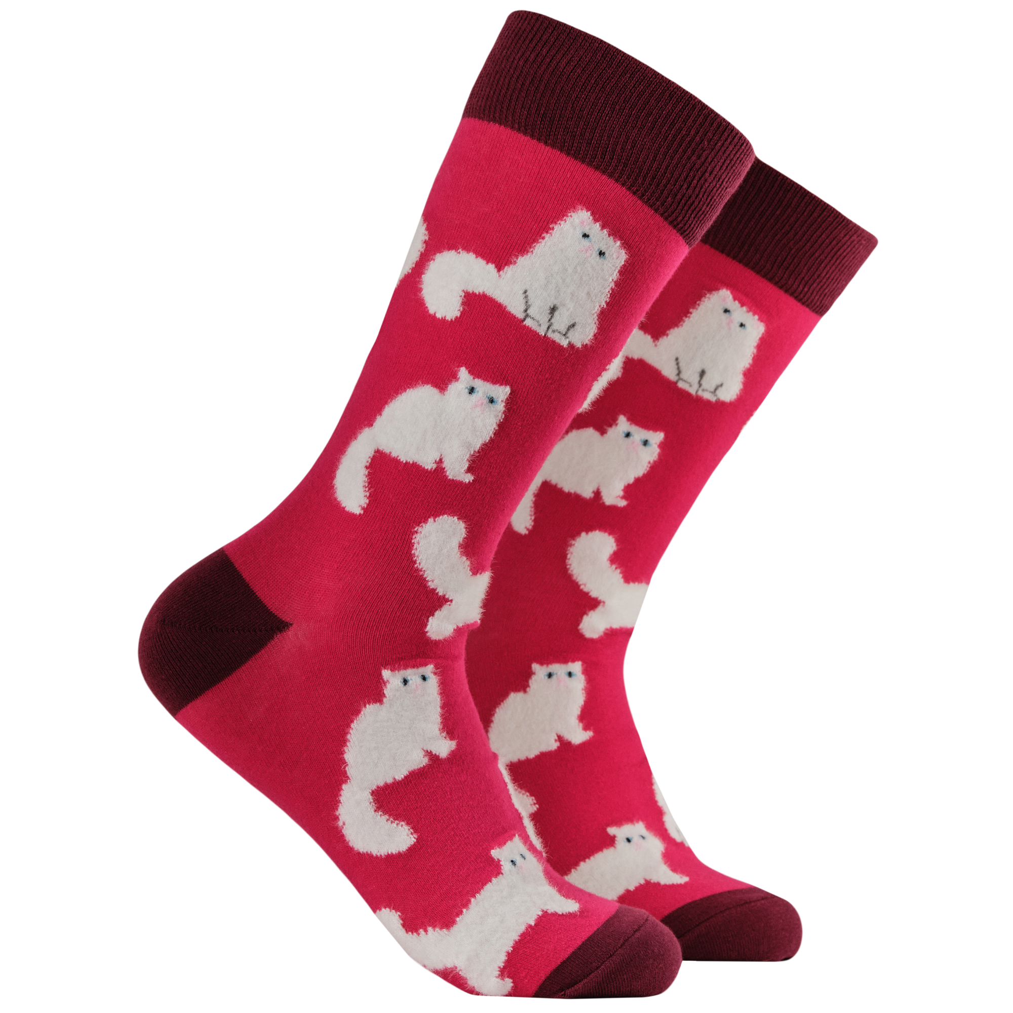 Fluffy White Cats Socks