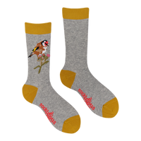 Goldfinch Socks - Robert E Fuller