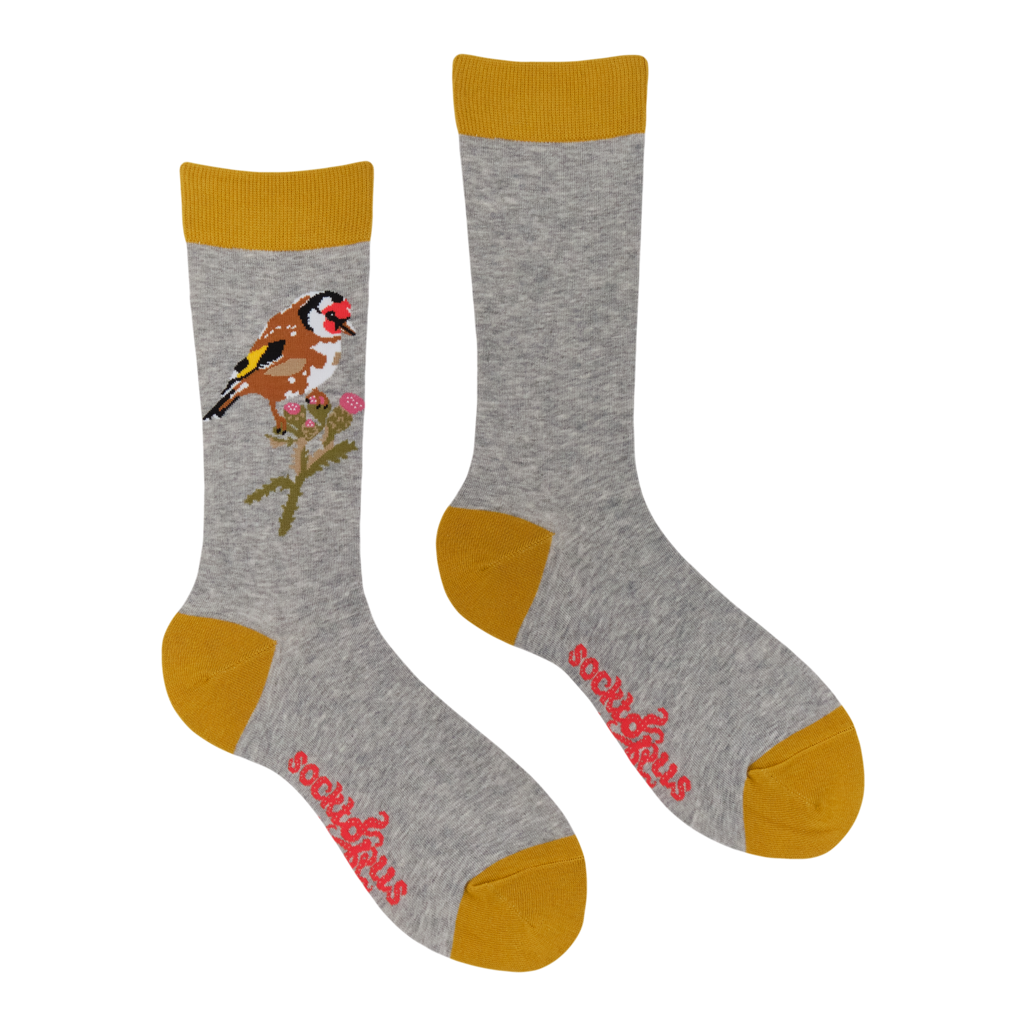 Goldfinch Socks - Robert E Fuller