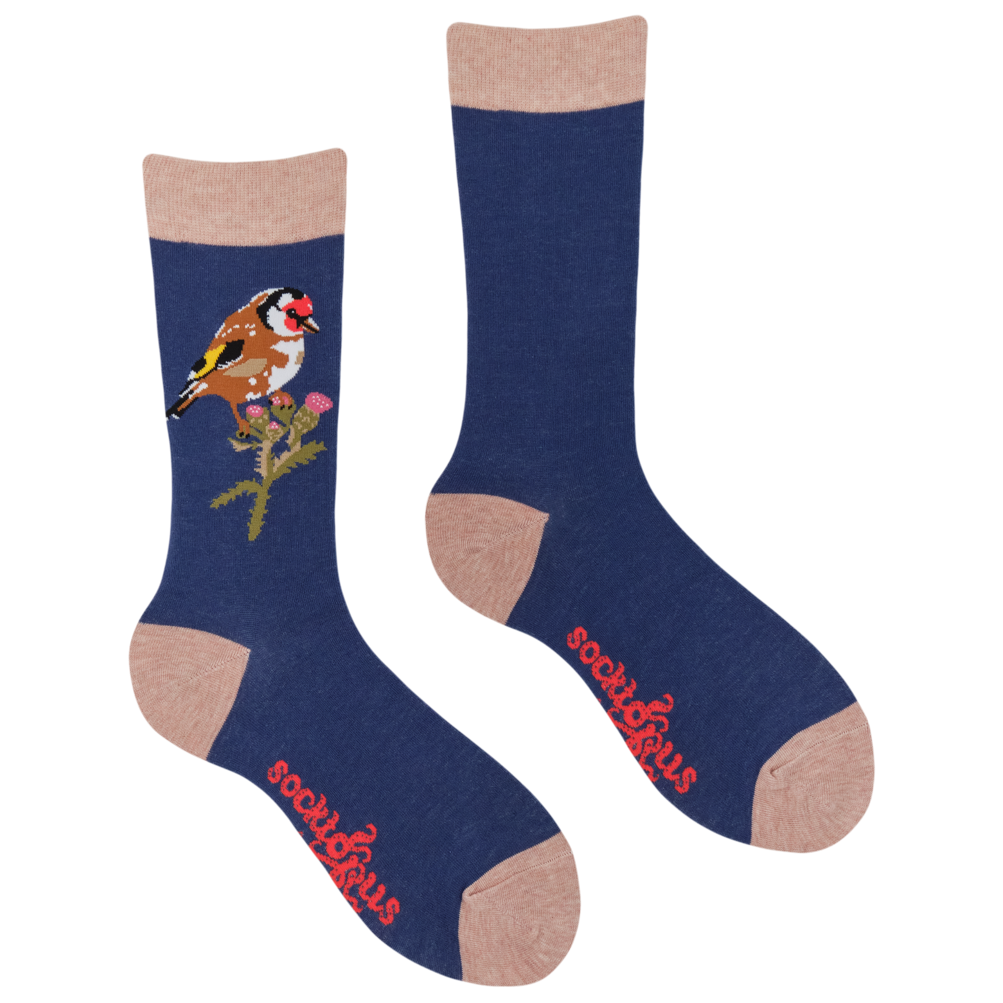 Goldfinch Socks - Robert E Fuller
