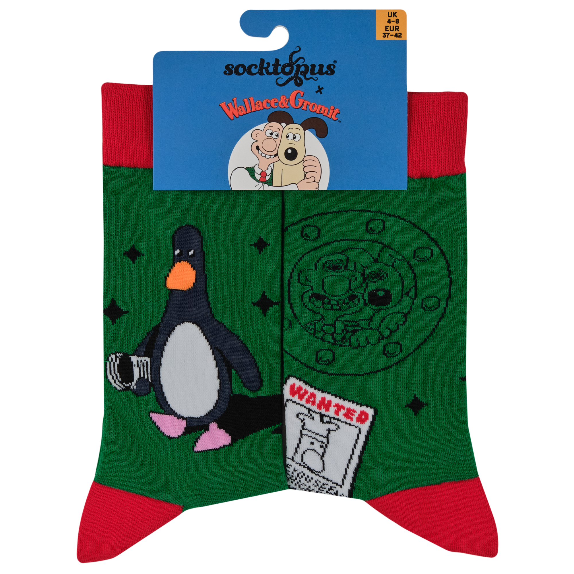 Have You Seen This Chicken Socks - Wallace and Gromit
