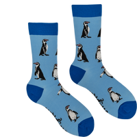 Humboldt Penguin Socks