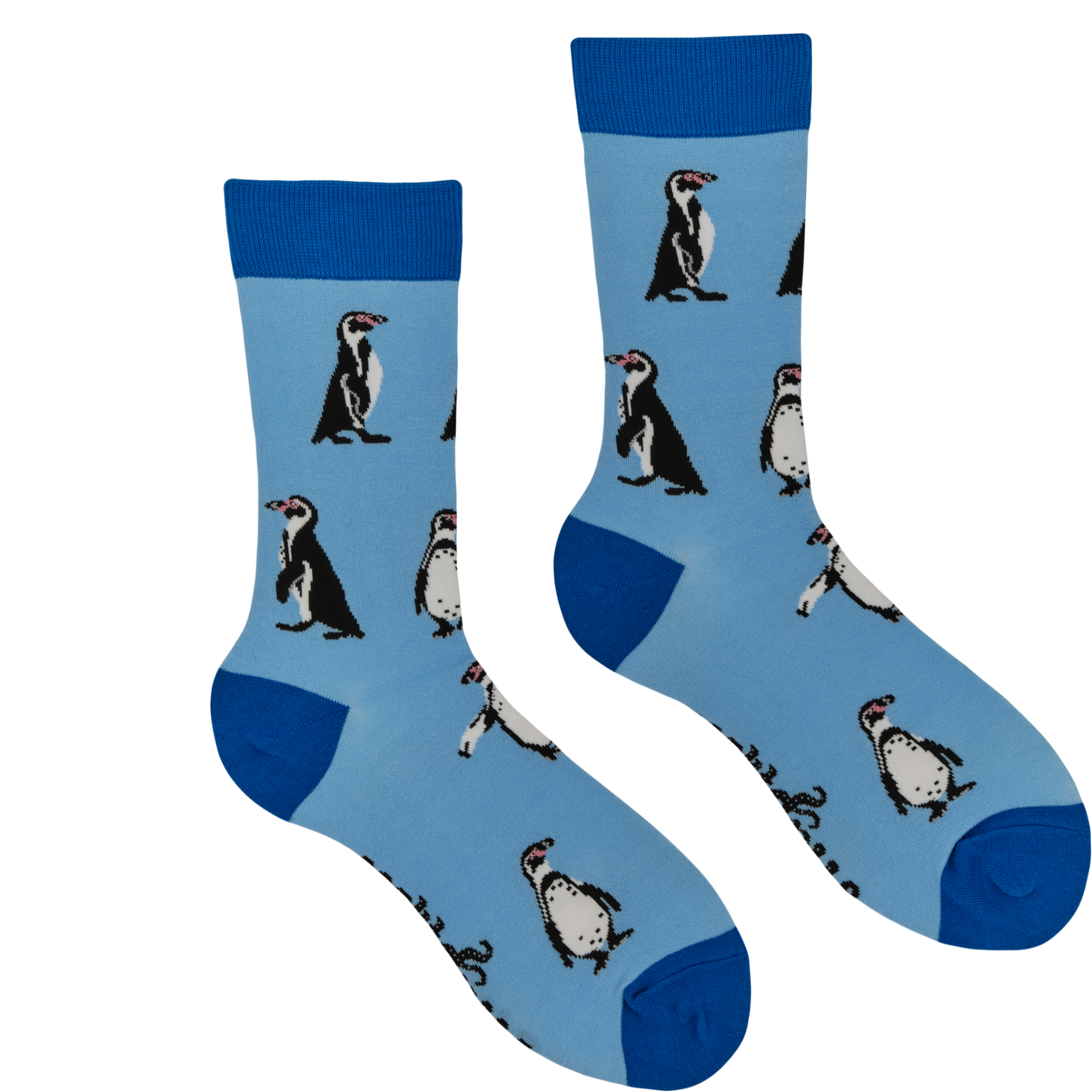 Humboldt Penguin Socks