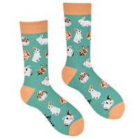 Rabbit Socks - Hop