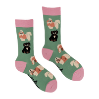 I Shih-Tzu Not Socks