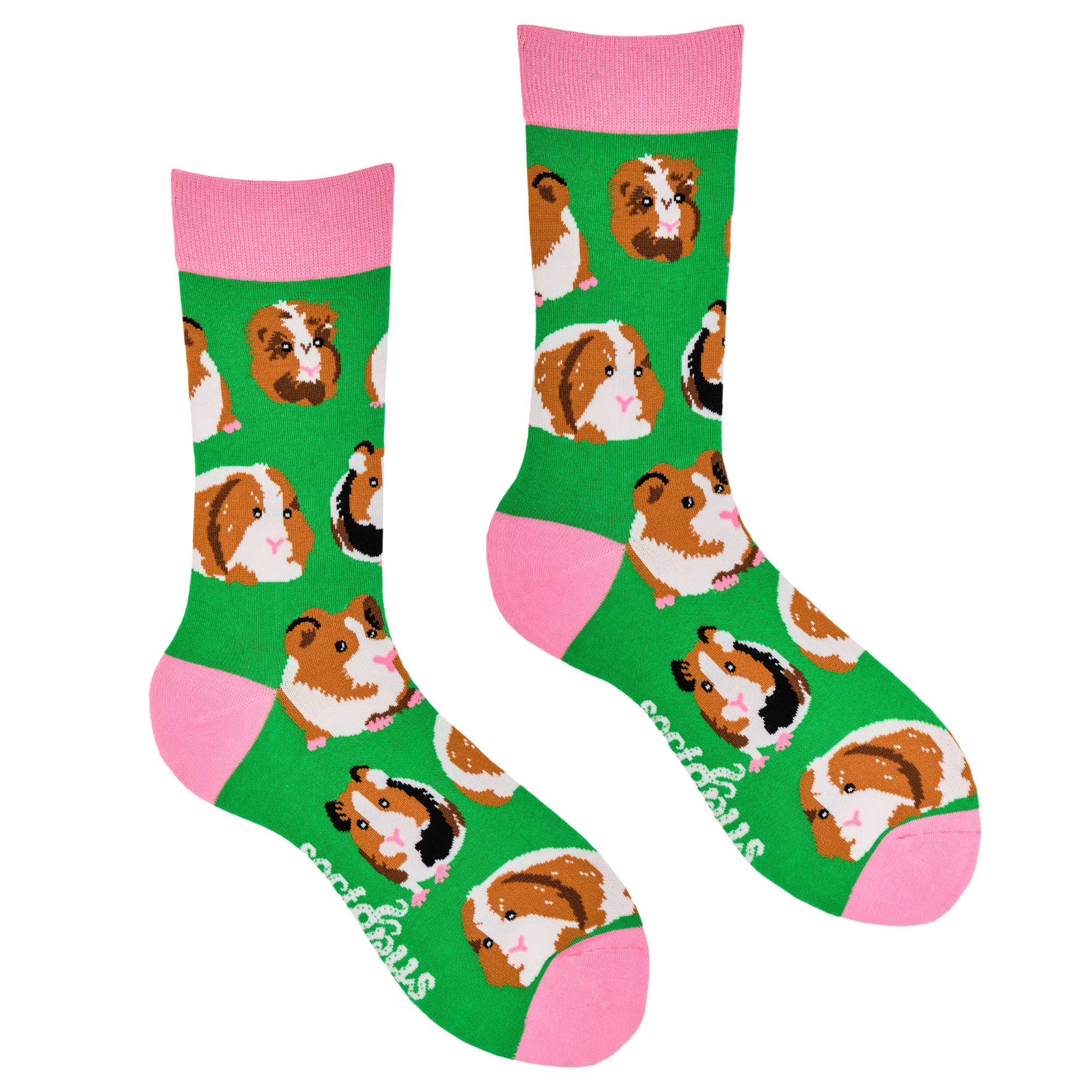 Guinea Pig Socks - I Am Not A Hamster