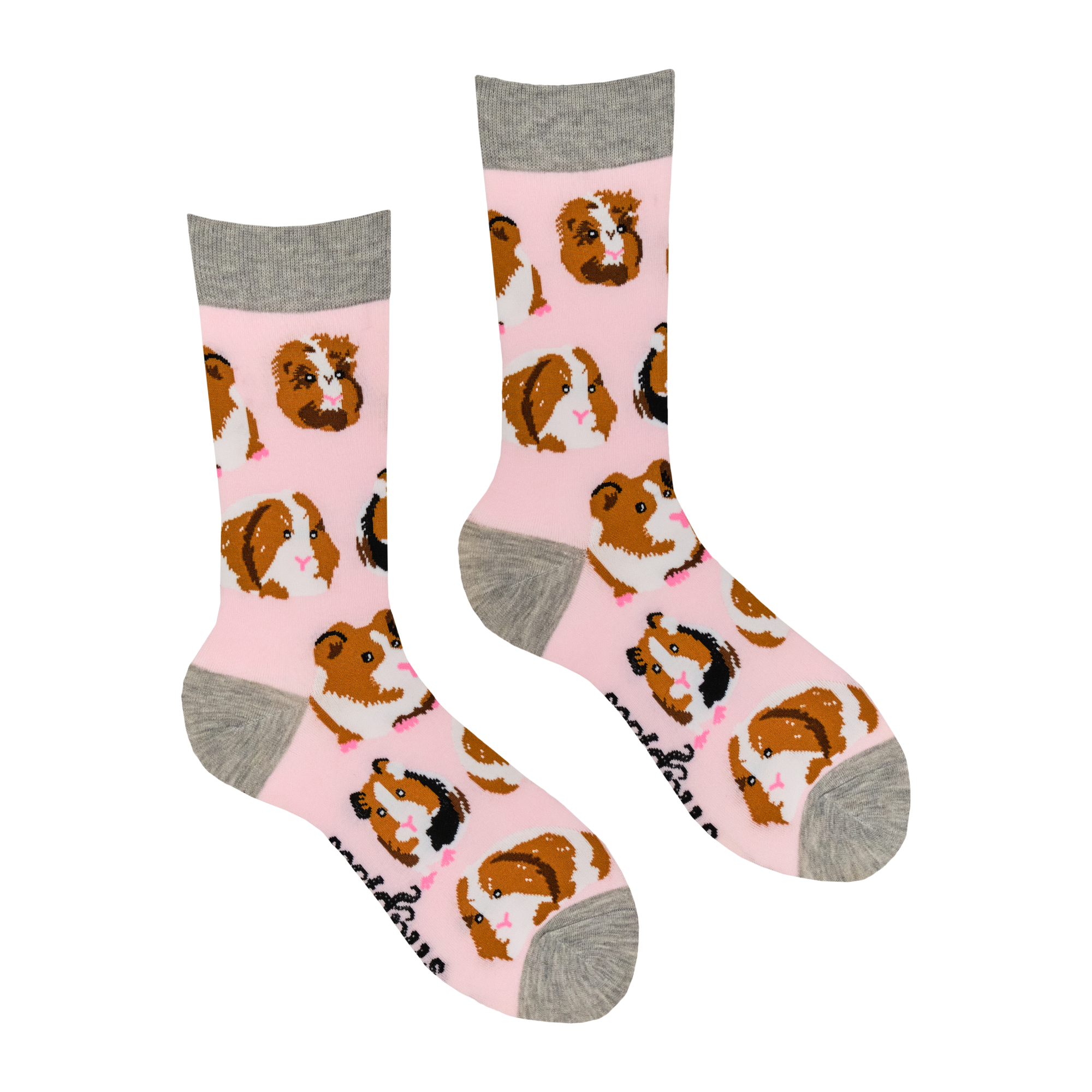 Guinea Pig Socks - I Am Not A Hamster
