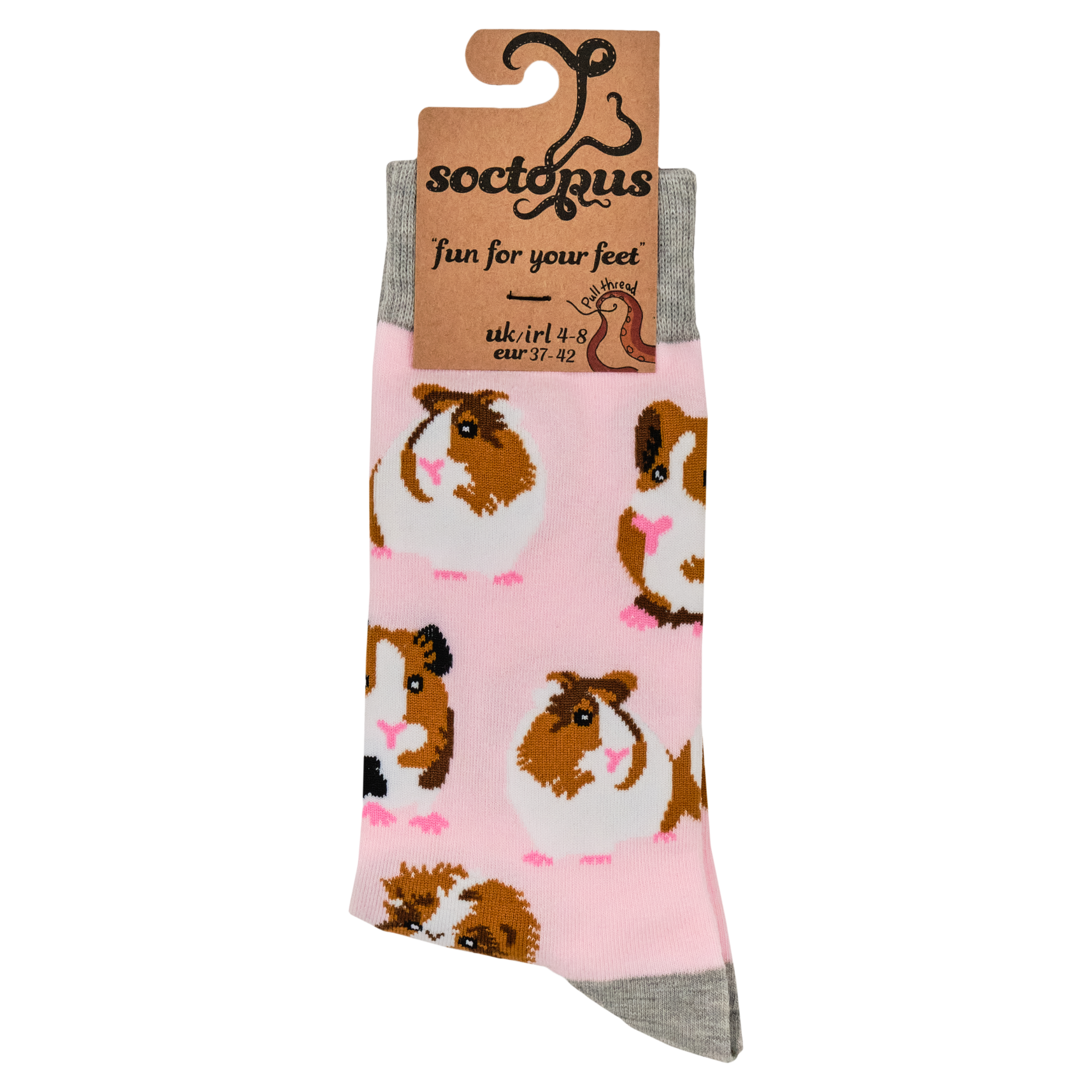 Guinea Pig Socks - I Am Not A Hamster