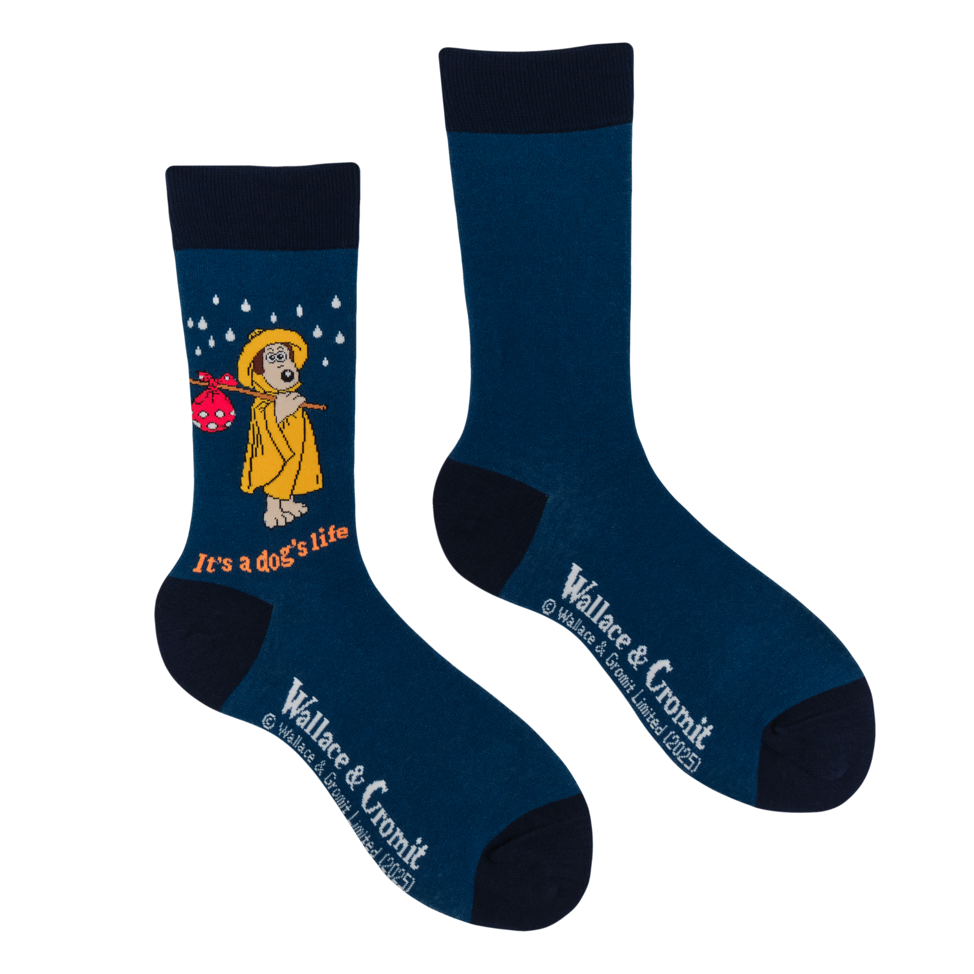 It's a Dog's Life Socks - Wallace and Gromit