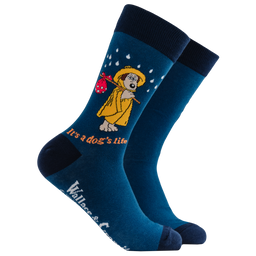It's a Dog's Life Socks - Wallace and Gromit