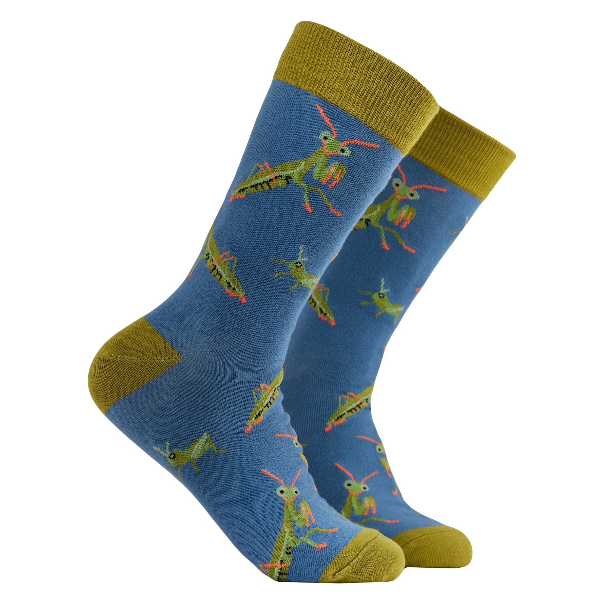 Praying Mantis Socks - I've Been Praying For These