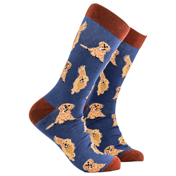 Golden Retriever Socks - I'm A Retriever