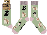 I Shih-Tzu Not Socks