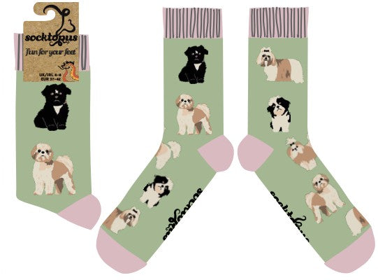 I Shih-Tzu Not Socks