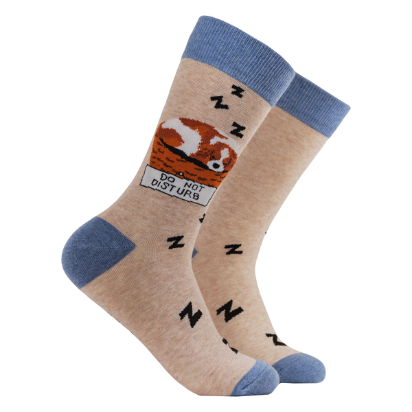 Dog Socks - Let Sleeping Dogs Lie