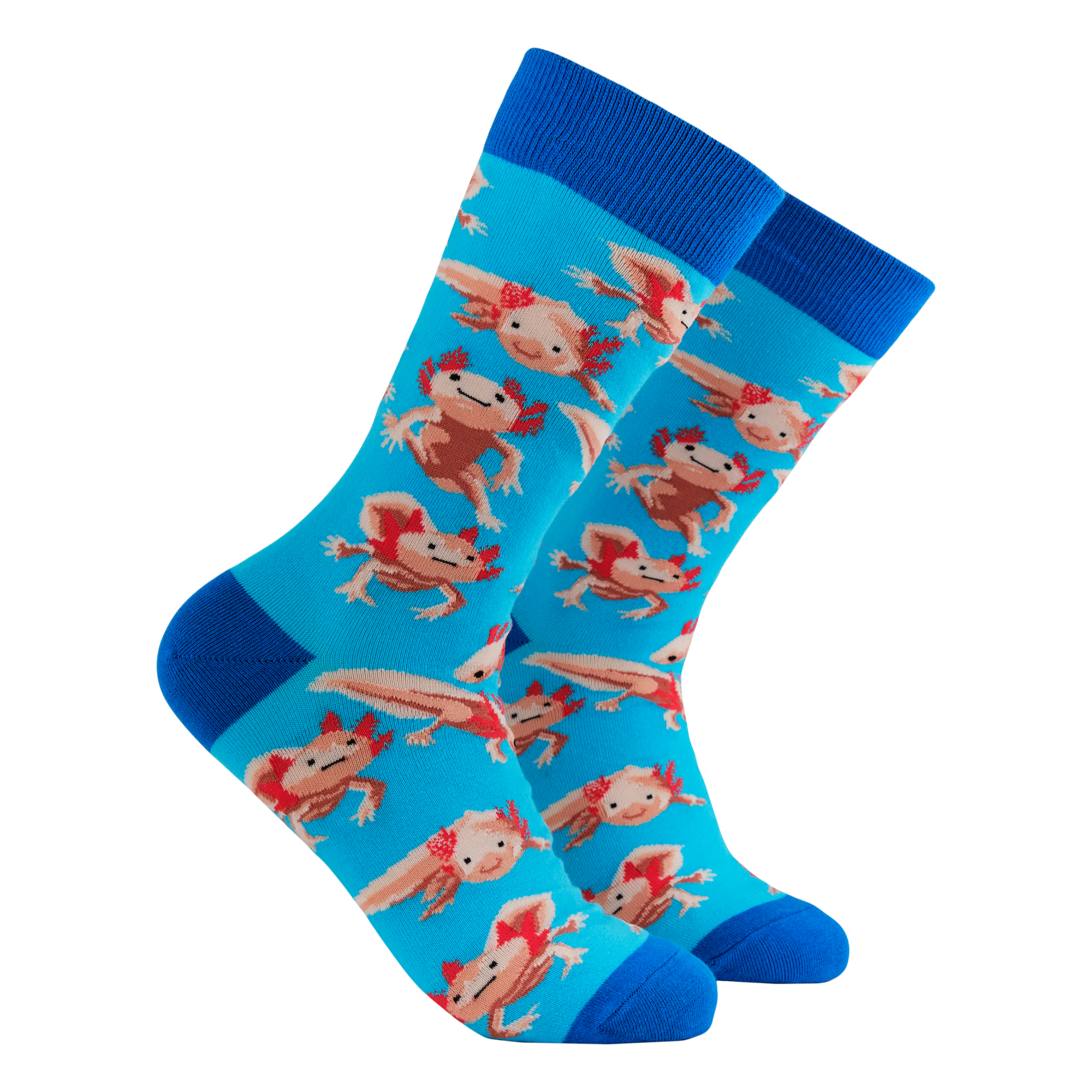 Axolotl Socks - Lottia Axolotl