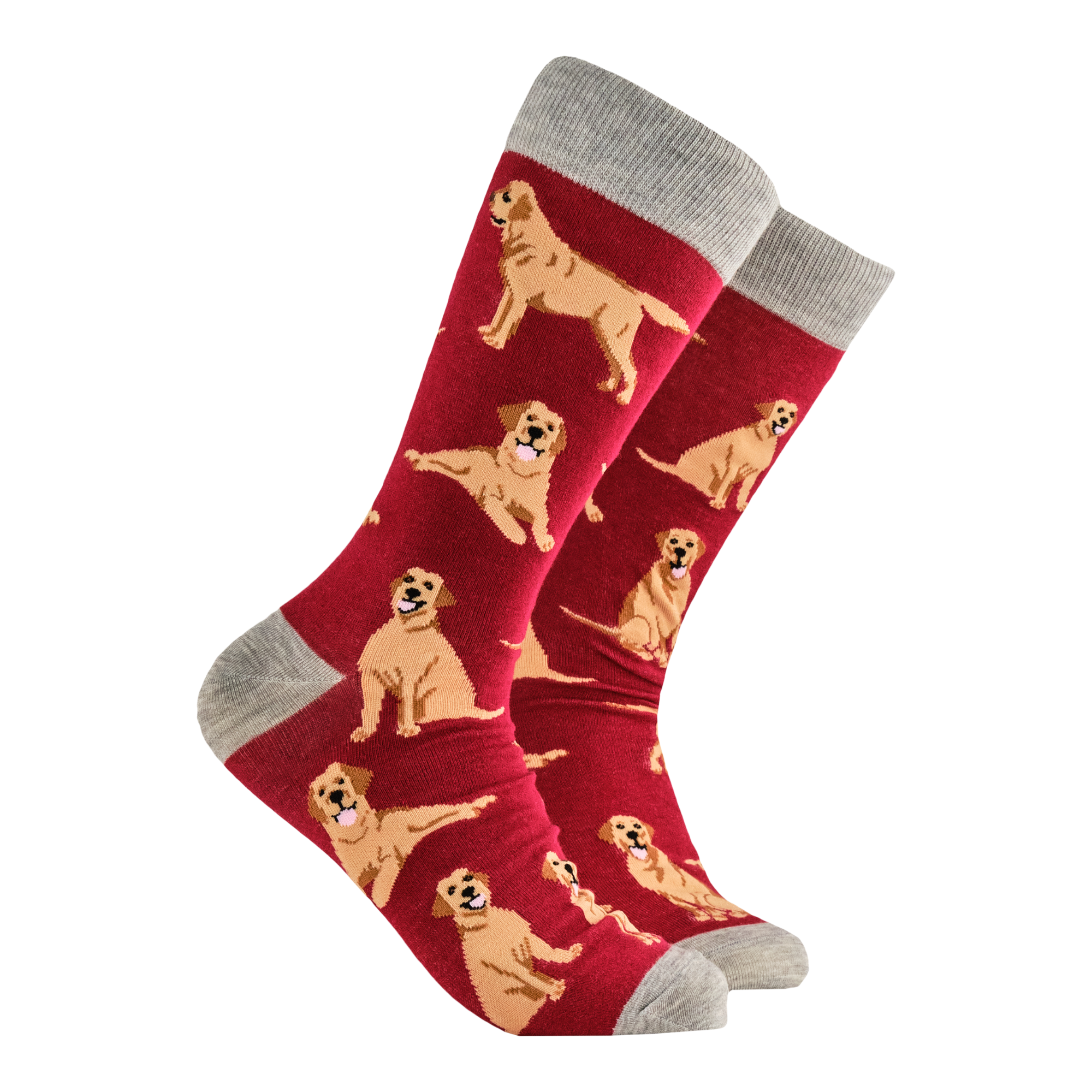 Labrador Retriever Socks - Labradorable