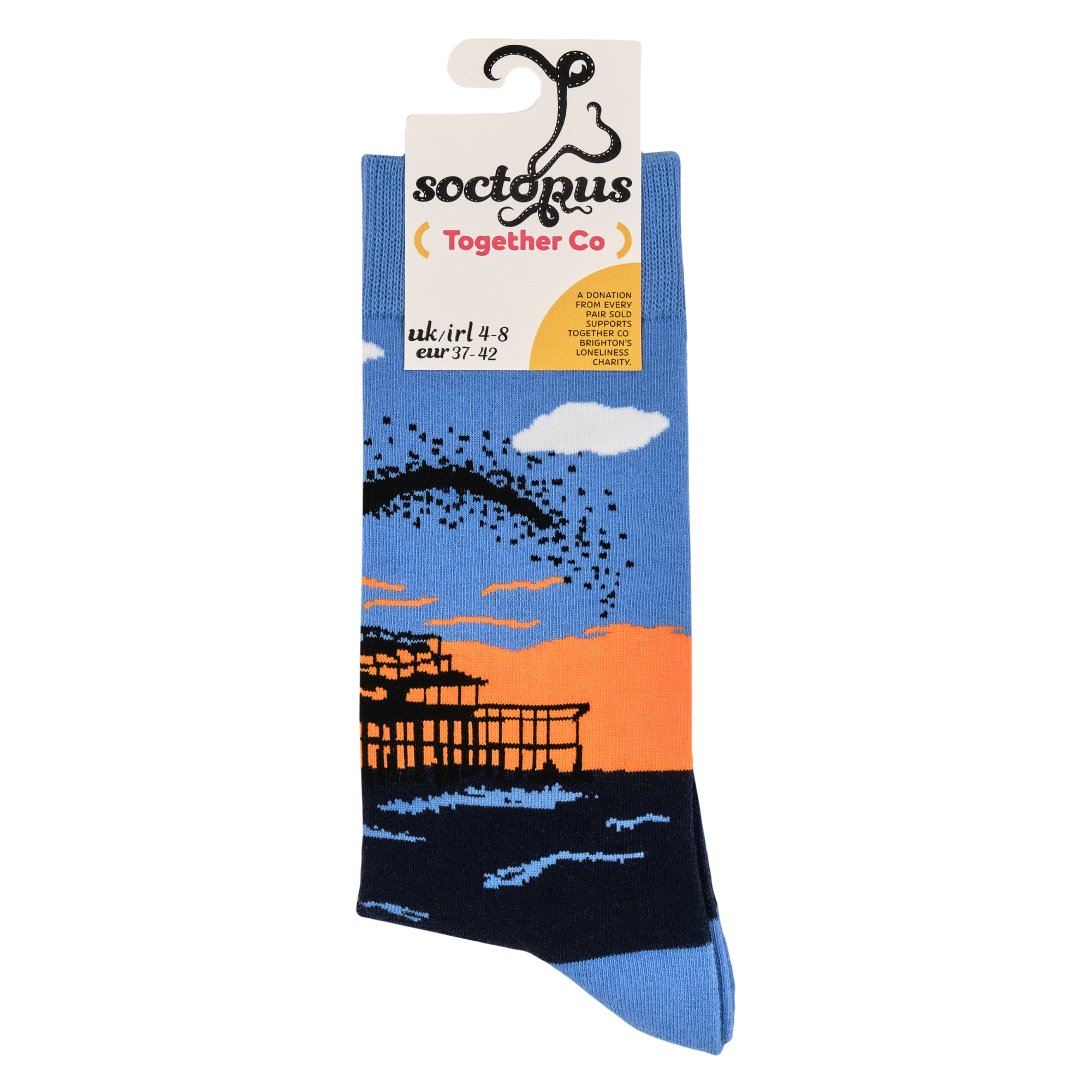 Murmurations Socks - Together Co Collaboration