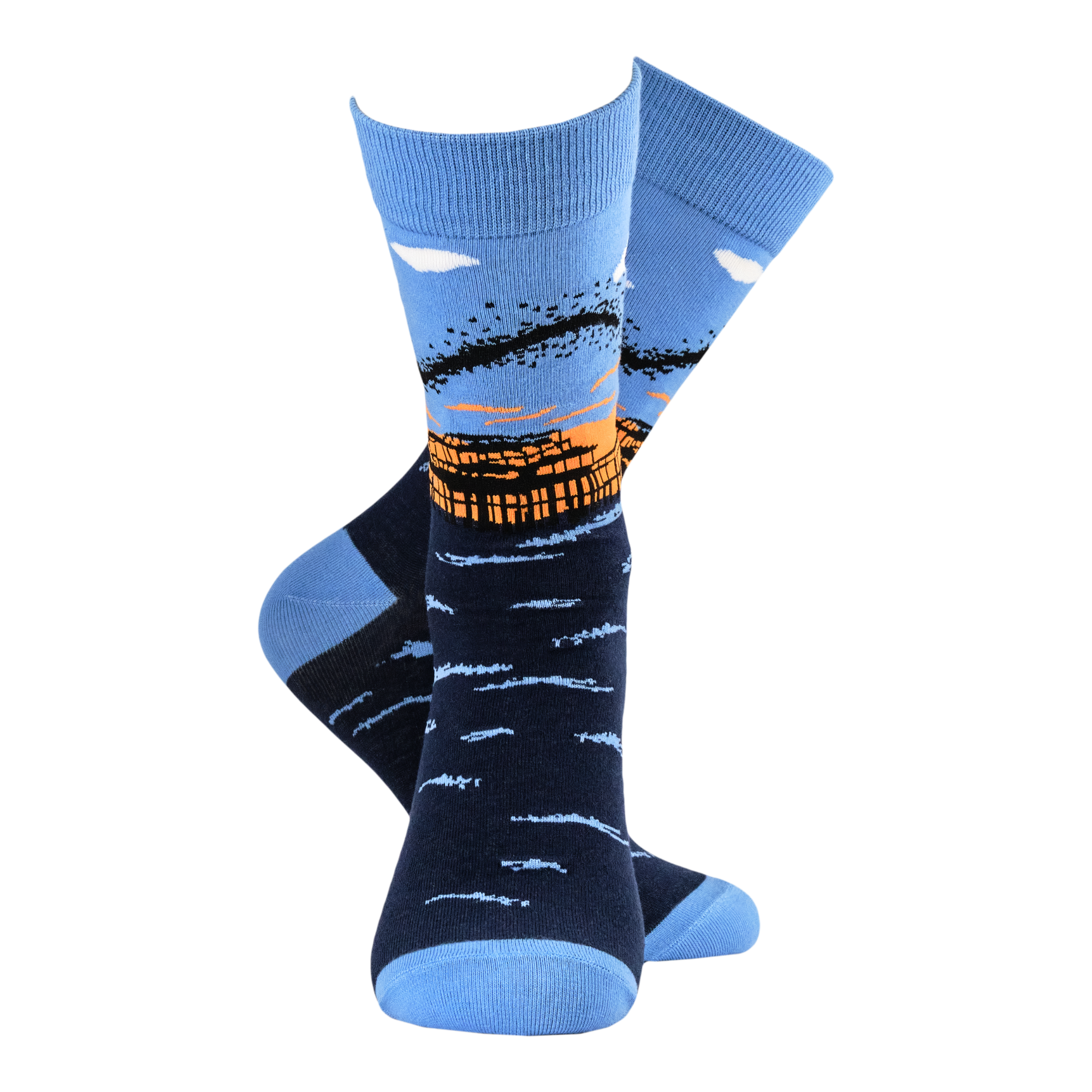 Murmurations Socks - Together Co Collaboration