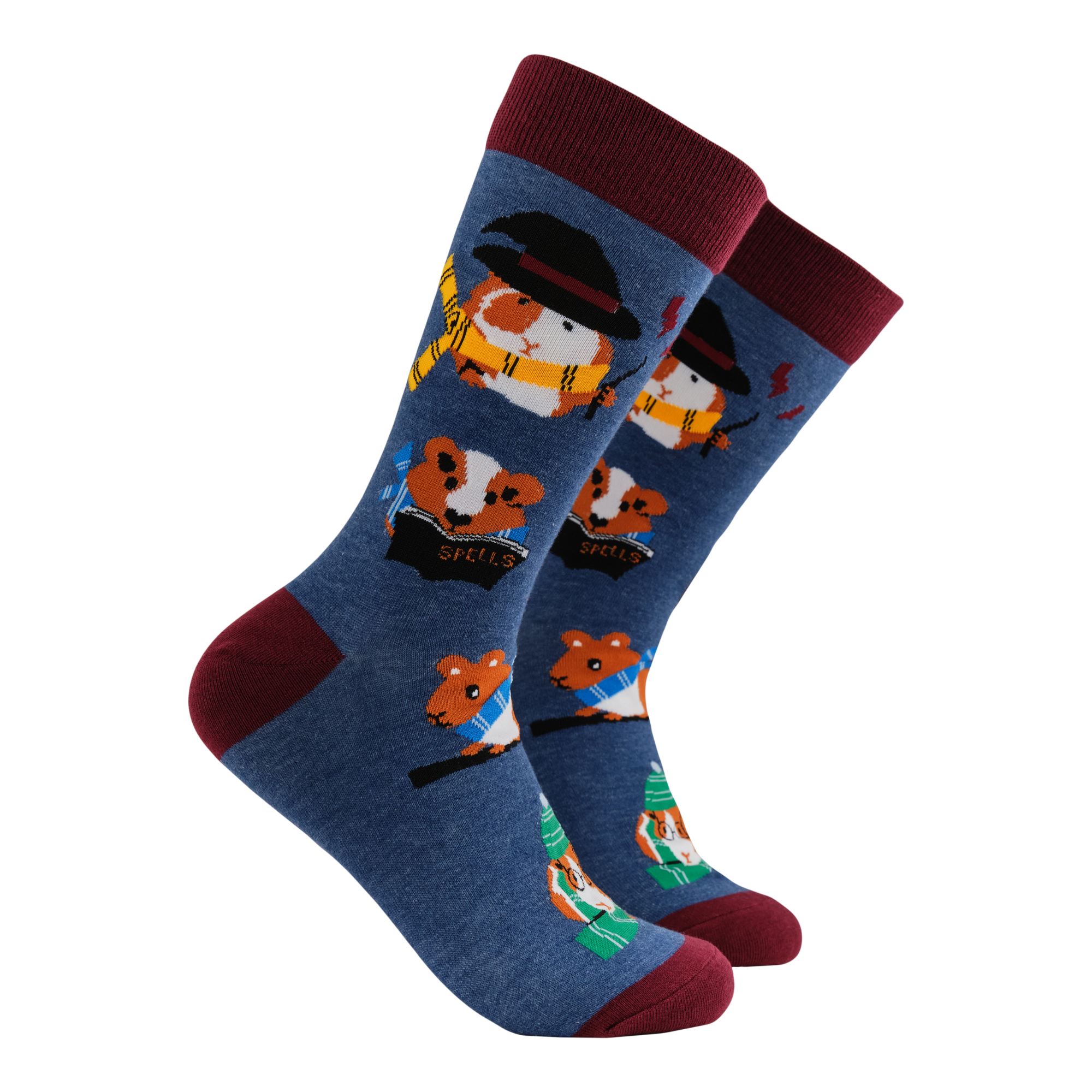 Guinea Pig Harry Potter Socks - Pigardium Leviosa