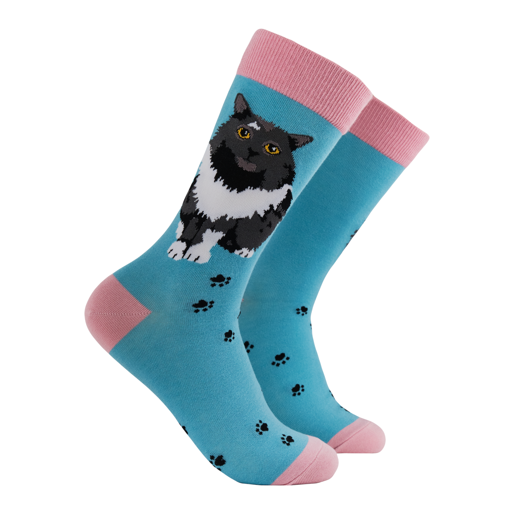 Cat Socks - Pro-Cat-Stinating