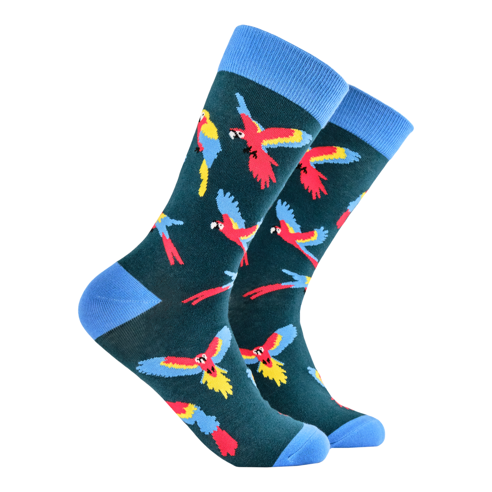 Parroty Socks