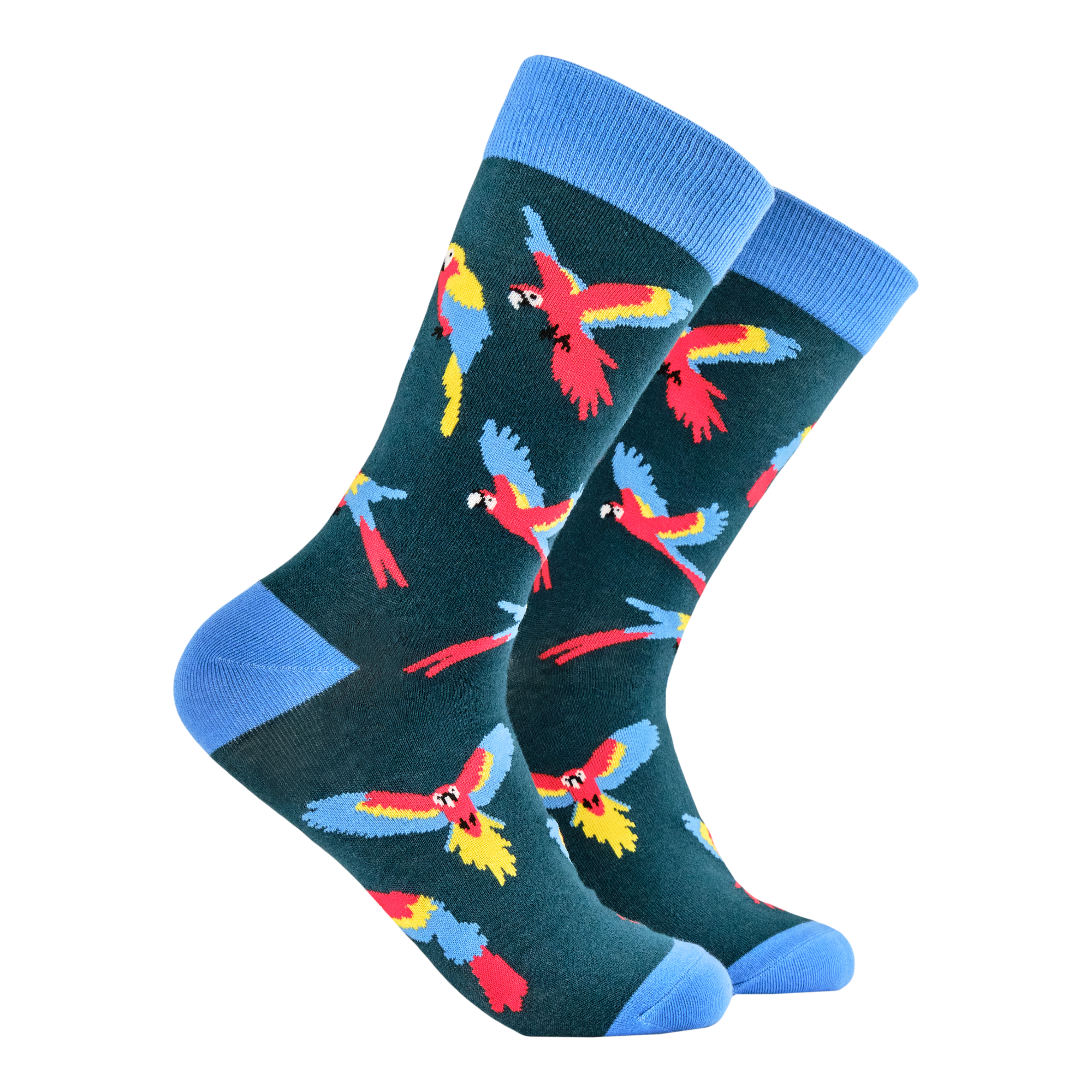 Parroty Socks