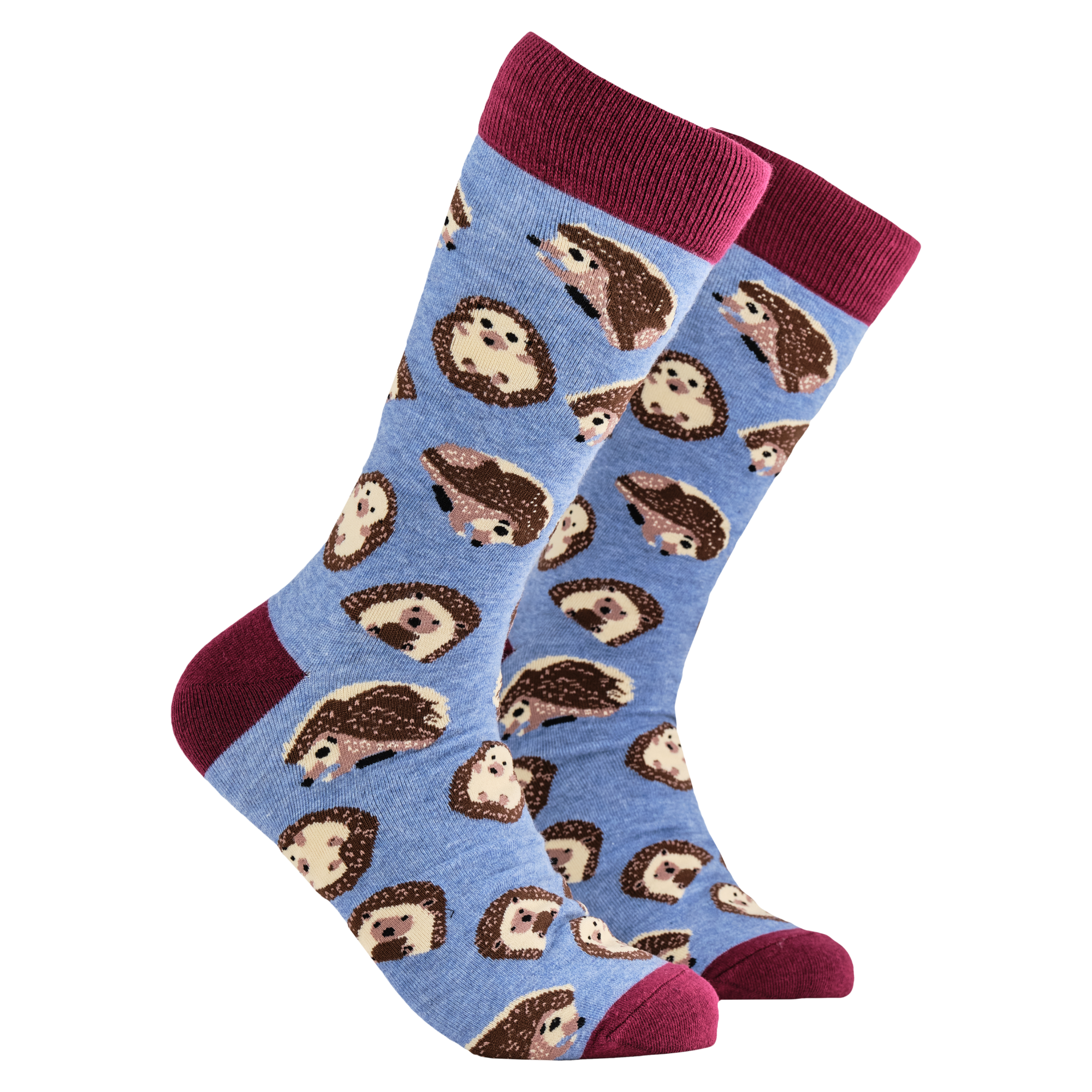 Hedgehog Socks - Prickly