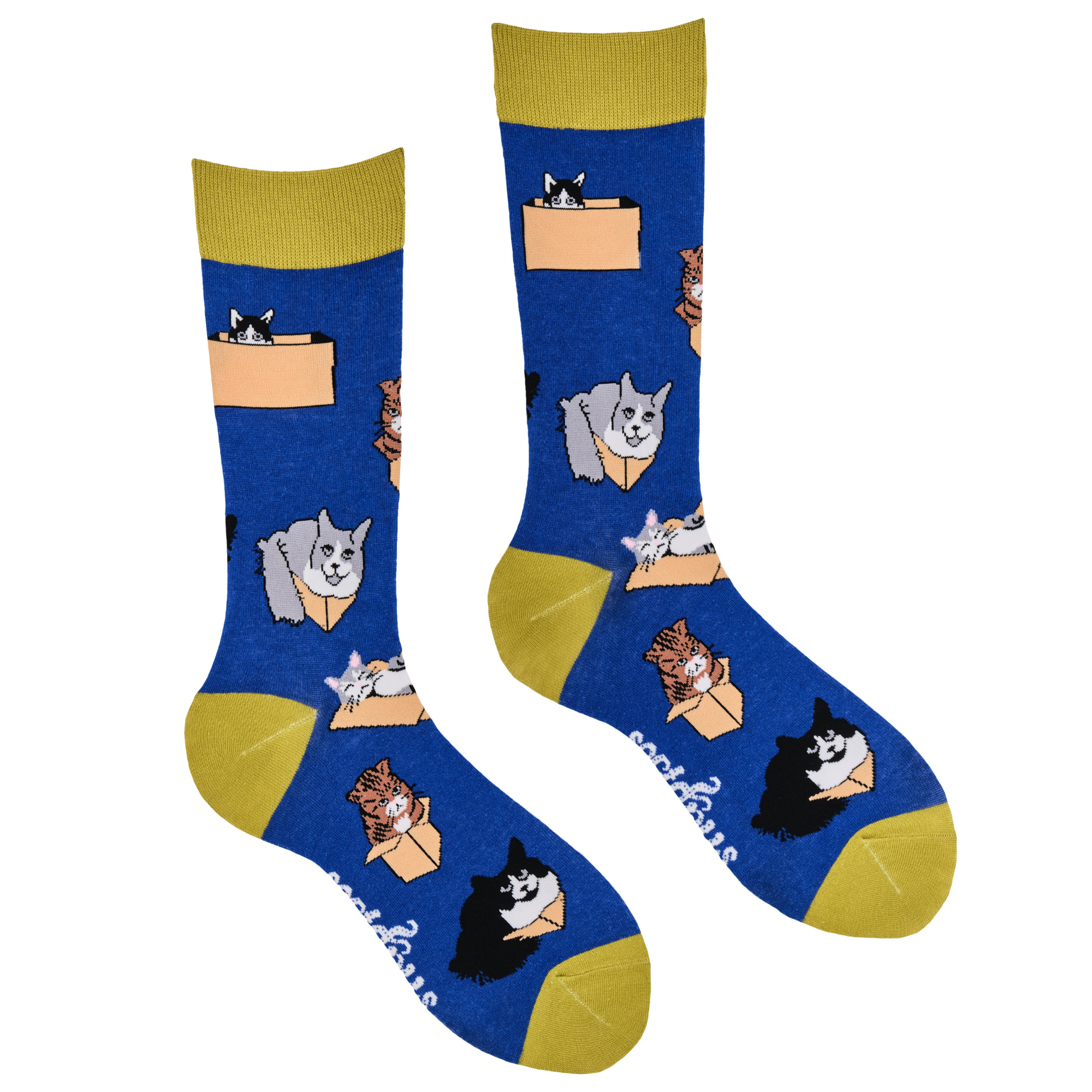 Cat Socks - Purrrfect Fit
