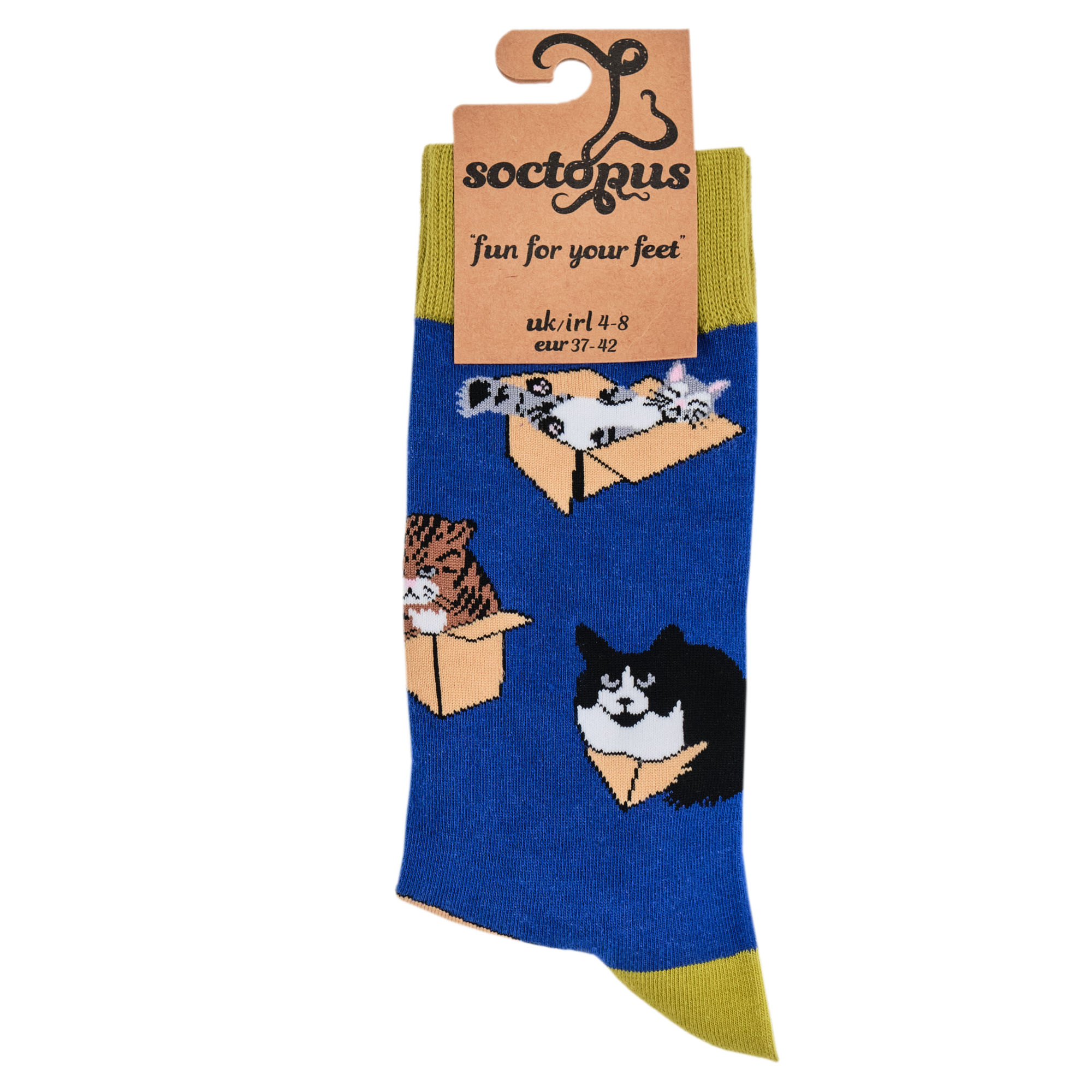 Cat Socks - Purrrfect Fit