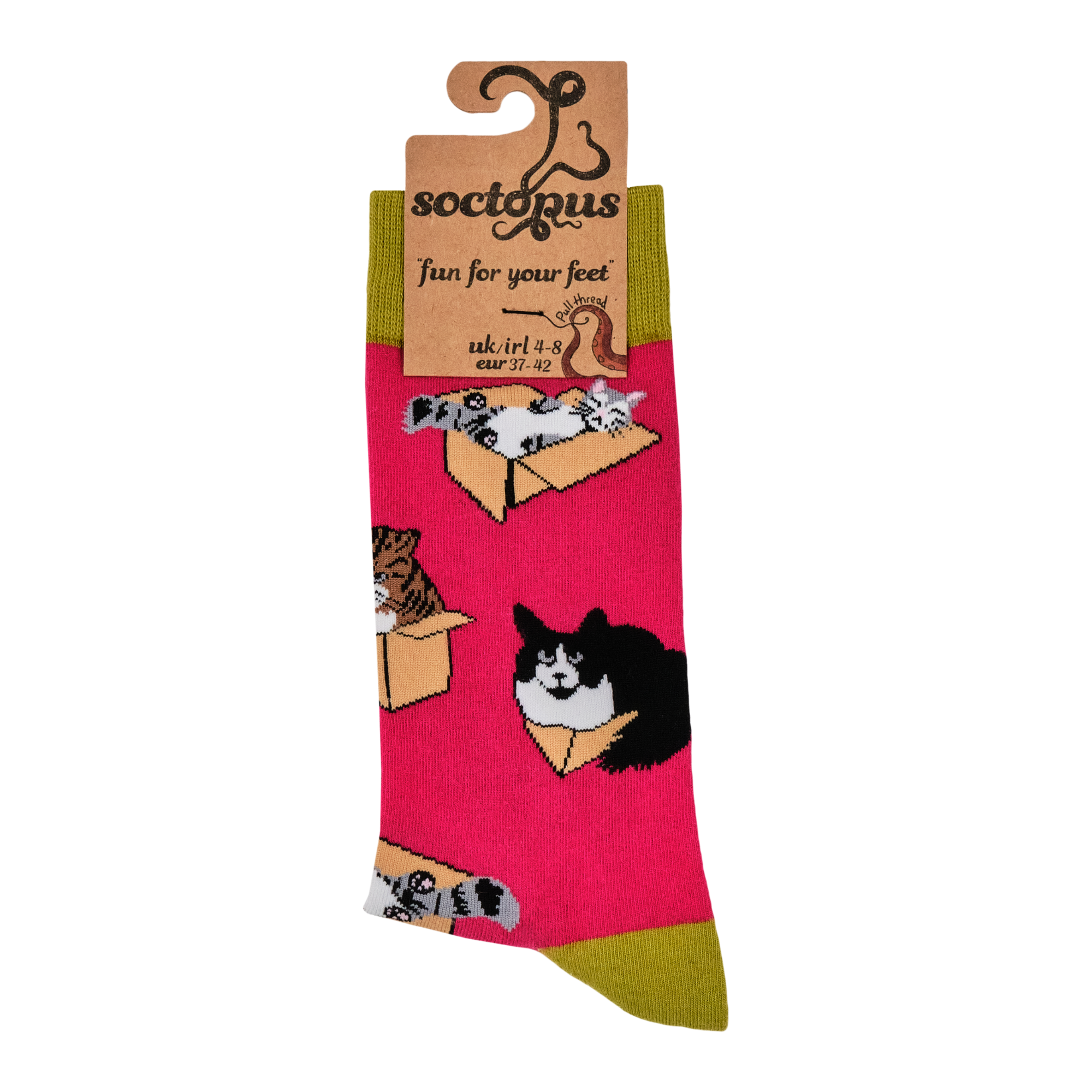 Cat Socks - Purrrfect Fit