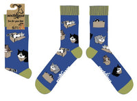 Cat Socks - Purrrfect Fit