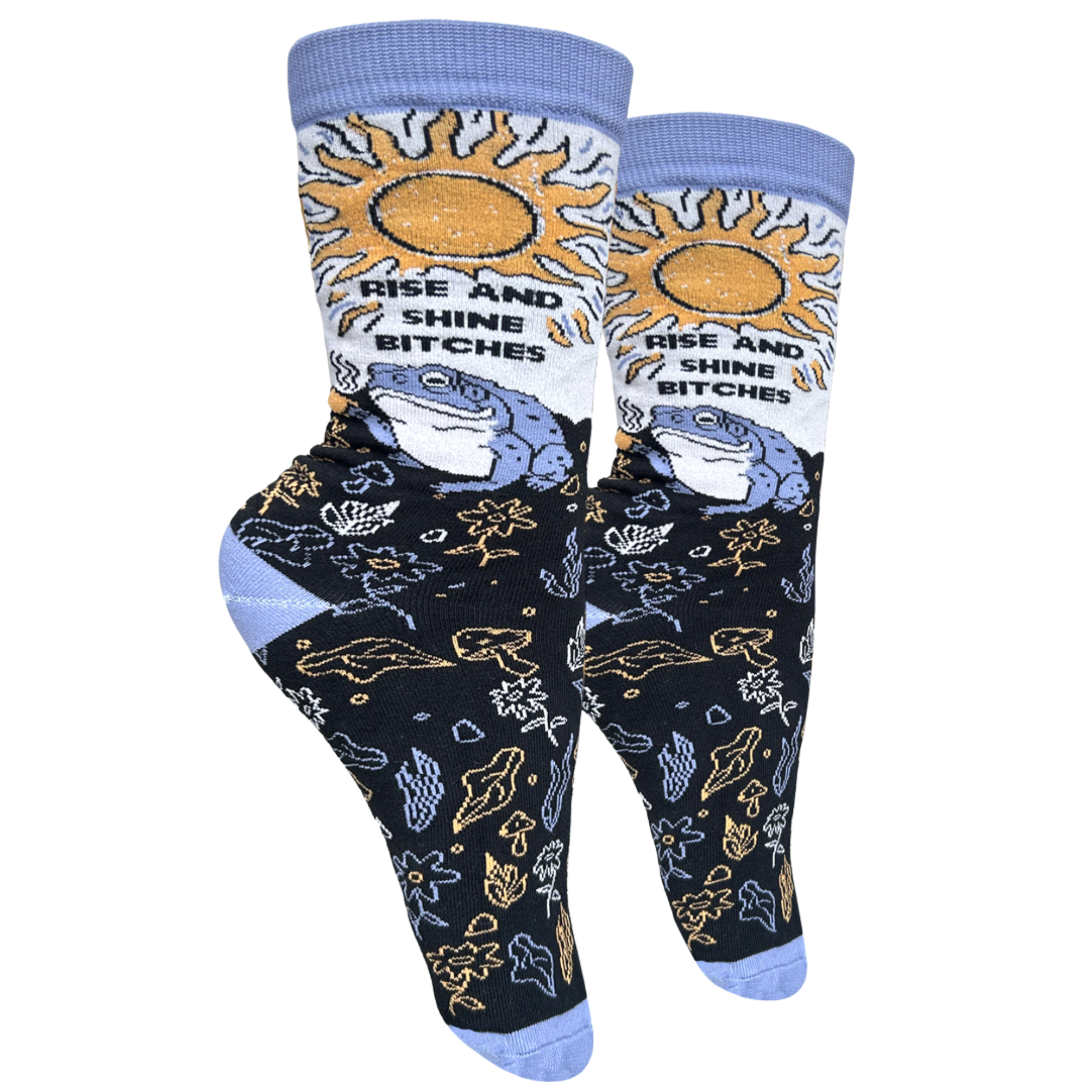 Rise and Shine Socks. A pair of socks with a design featuring a frog, a sunrise and section of scared plants. Purple toes, heel and cuff.
