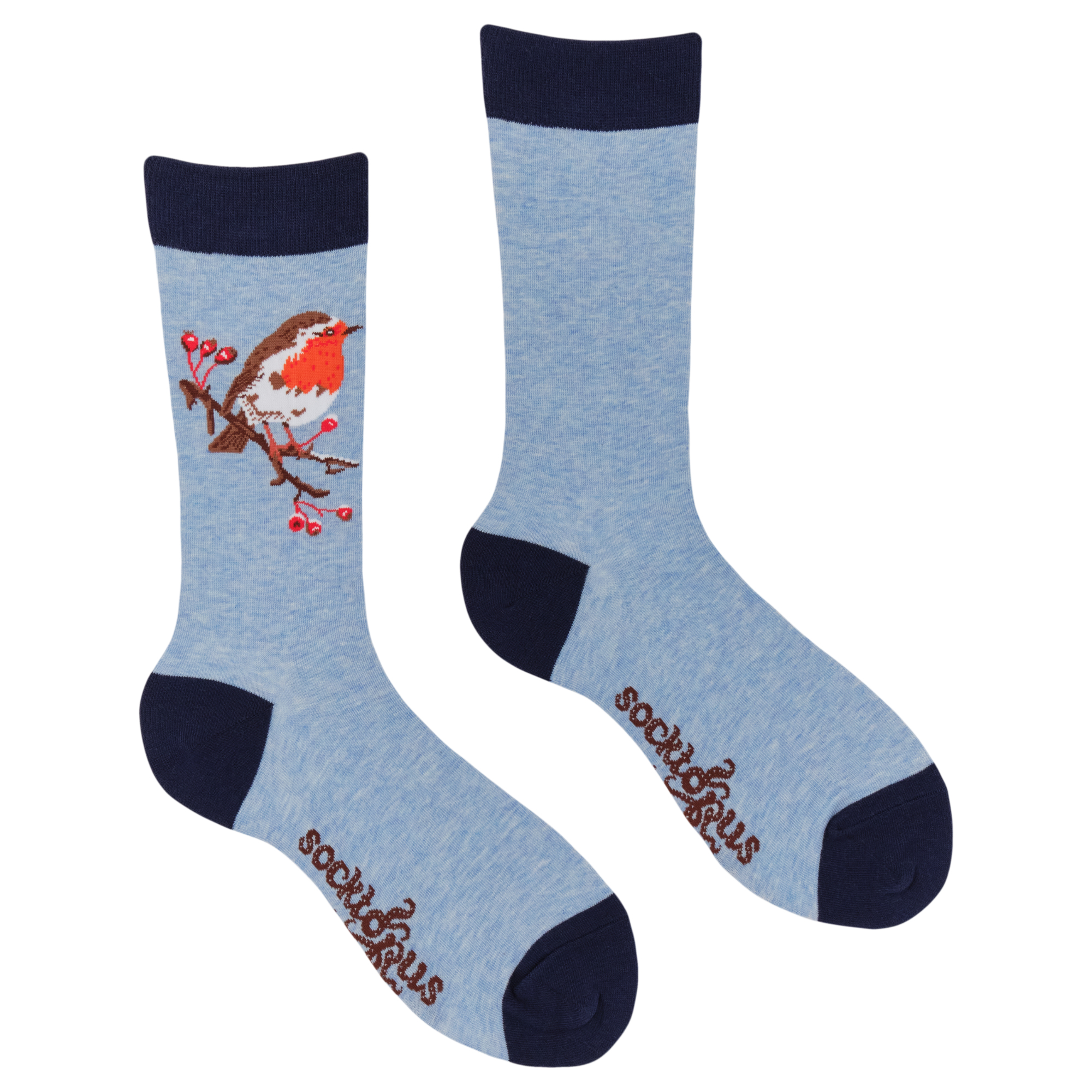 Robin Socks - Robert E Fuller