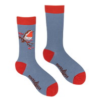 Robin Socks - Robert E Fuller