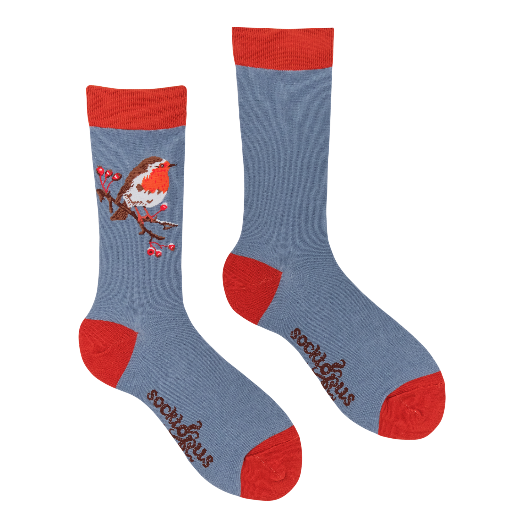 Robin Socks - Robert E Fuller