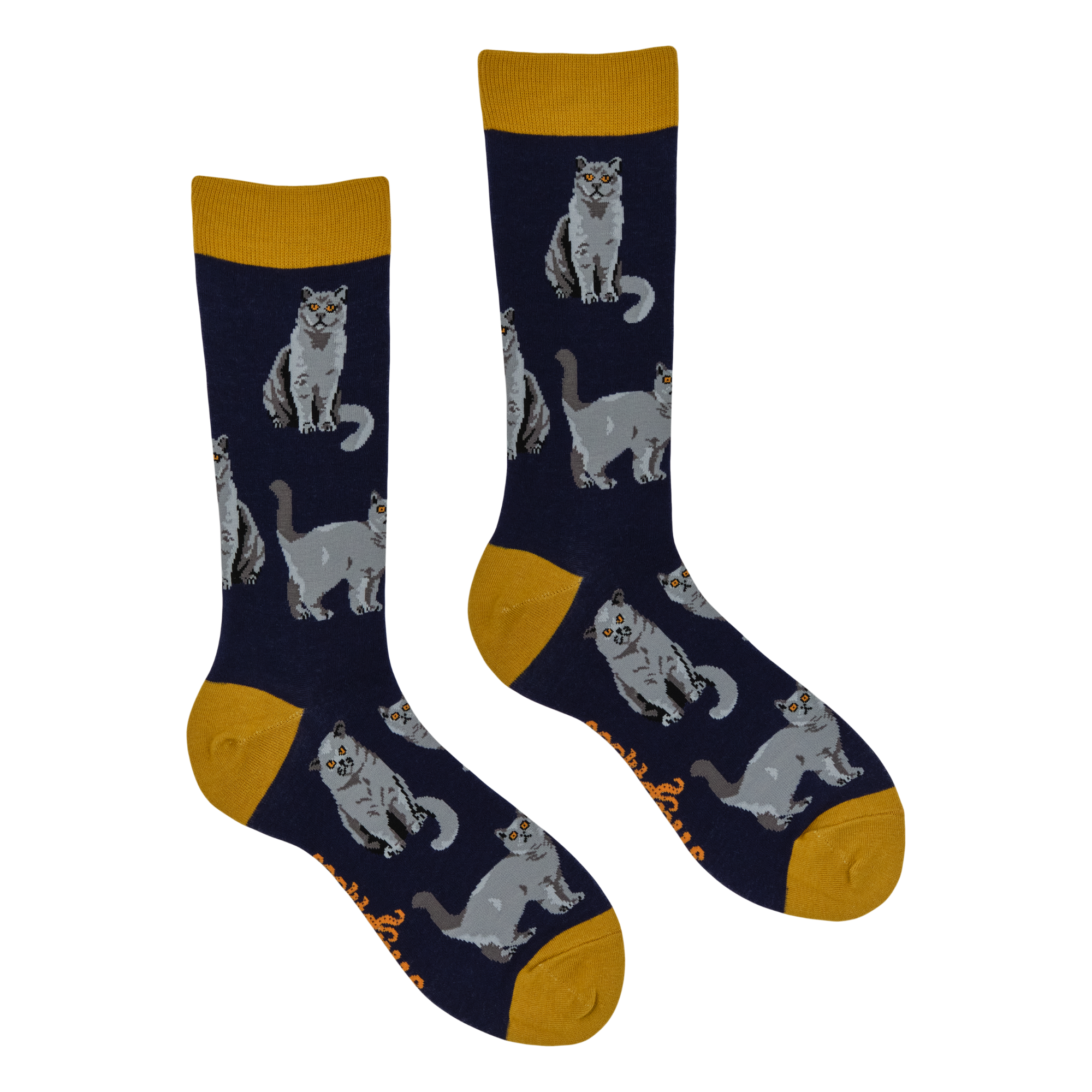British Shorthair Cat Socks - Short Hair Don't Care